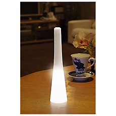 �Ɠd �U�k�d�c�̃C���e���A�����